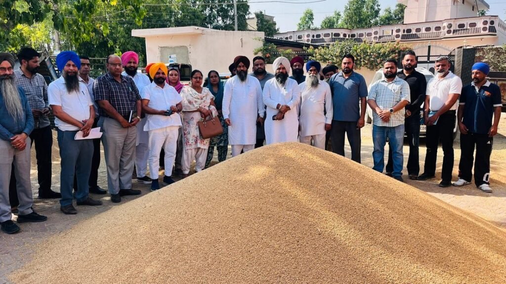 Punjab Deputy Speaker market inspection